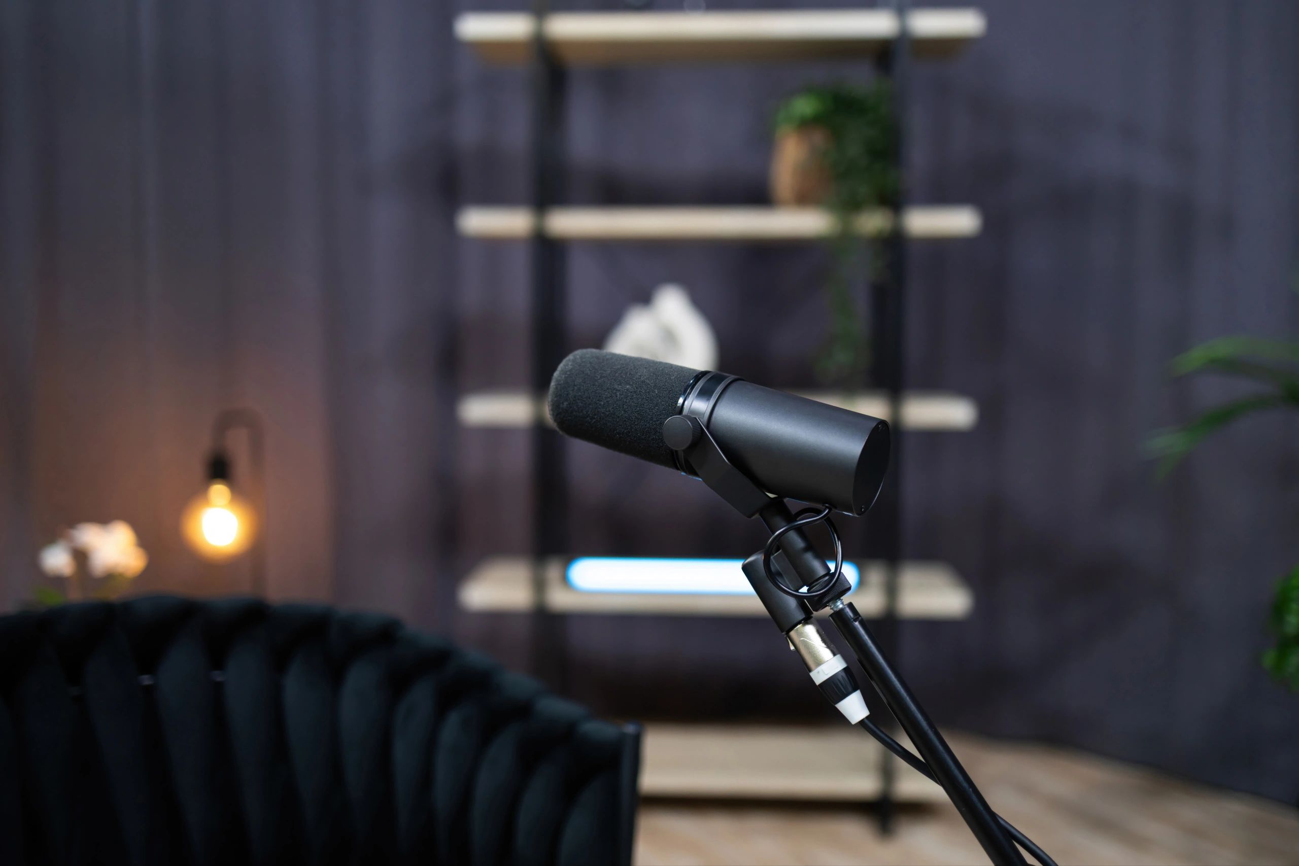 Close-up of a professional podcast microphone